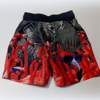 Къси панталонки / бански в червено и черно DTU9039