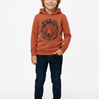 Кафяв суитшърт с мечка GE1112 Кафяв суитшърт с мечка GE1112